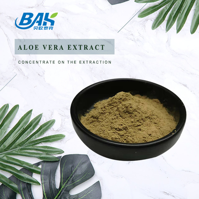 Factory Wholesale Pure Peppermint Extract Immune Enhancing Supplements Mentha Haplocalyx Briq Brown Powde