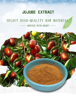 Fructus Ziziphi Jujubae Extract Light Yellow Fine Powder Polysaccharide 40%