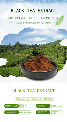 BAK Black Tea Extract Reddish Brown Powder 10% 20% 60% 80%
