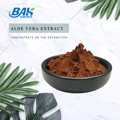 BAK Hot Selling Black Tea Extract Reddish Brown Powder 10% 20% 60% 80%