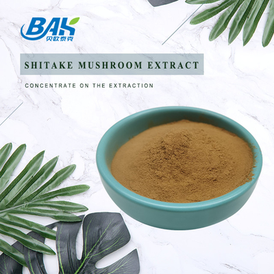 BAK Shiitake Mushroom Extract Brown Fine Powder Anti Cancer