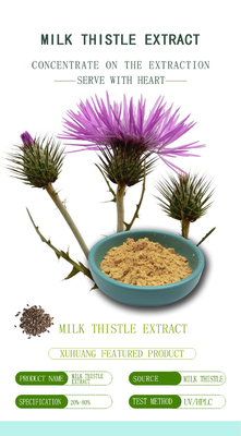 Silymarin Milk Thistle Extract Liver Protection Supplement Brown Yellow Powder