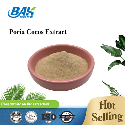 Polysaccharide Liver Protection Supplement Poria Cocos Extract