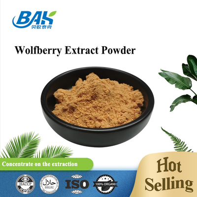 Wolfberry Extract Liver Protection Supplement 40% - 50% Polysaccharide