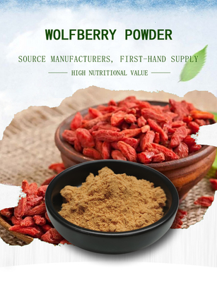 Wolfberry Extract Liver Protection Supplement 40% - 50% Polysaccharide