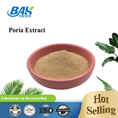 BAK Bulk Wholesale Poria Mushroom Extract Supplement Brown Fine Powder