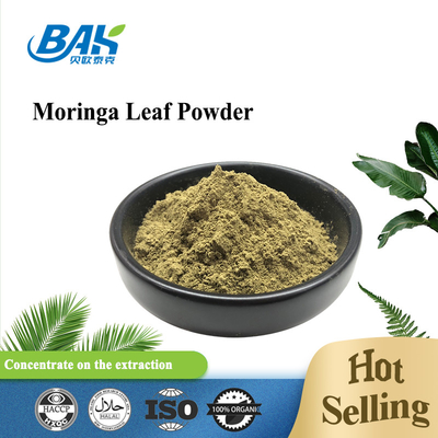 Organic Food Grade Moringa Leaf Green Powder Bulk Stock