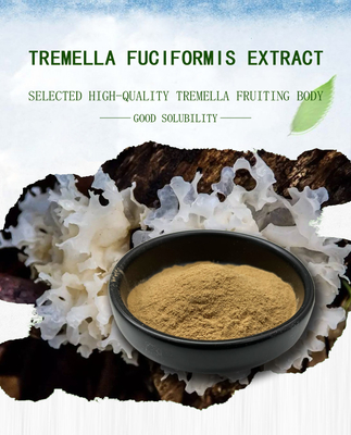 Tremella Mushroom Extract Supplement