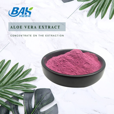 Halal 99.15% Cactus Purple Red Fruit Powder Fruit And Vegetable Powders