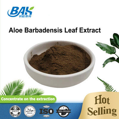 10% - 95% Aloe Barbadensis Leaf Extract 100/1 200/1 Brown Fine Powder