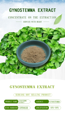 Health Food Liver Protection Supplement Gynostemma Pentaphyllum Extract 80% 98%