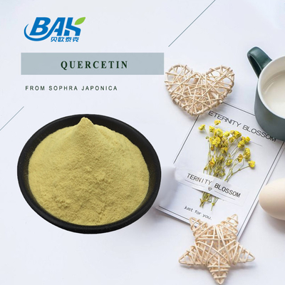 Sophora Japonica L Quercetin Liver Protection Supplement Powder 10%-95%