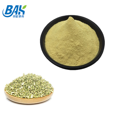 Sophora Japonica L Quercetin Liver Protection Supplement Powder 10%-95%