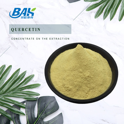 Sophora Japonica L Quercetin Liver Protection Supplement Powder 10%-95%