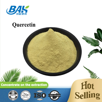 Sophora Japonica L Quercetin Liver Protection Supplement Powder 10%-95%