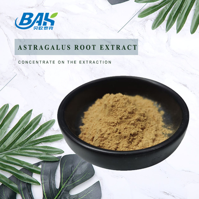 Natural Astragalus Polysaccharide Astragalus Root Extract Yellow Brown Powder Immunostimulant