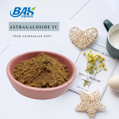 BAK Manufacture Cas 84687-43-4 HPLC ELSD Astragalus Root Astragaloside IV Powder