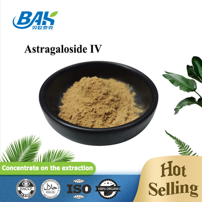 BAK Manufacture Cas 84687-43-4 HPLC ELSD Astragalus Root Astragaloside IV Powder