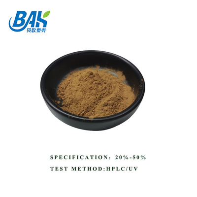 Hot Selling HPLC UV Bacopa Monnieri Extract Brown Yellow Powder 100% Pass 80 Mesh