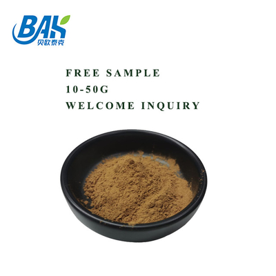 Herb Immune Enhancing Supplements 40% Bacopa Monnieri Extract Powder