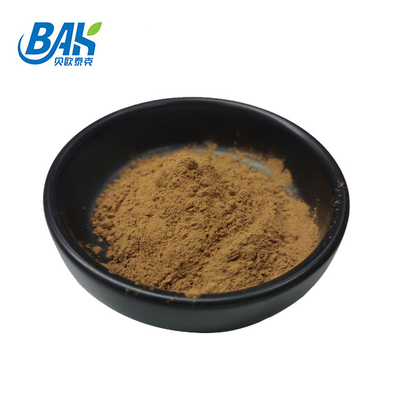 Hot Selling HPLC UV Bacopa Monnieri Extract Brown Yellow Powder 100% Pass 80 Mesh