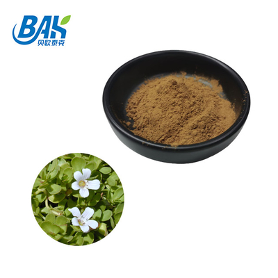 Hot Selling HPLC UV Bacopa Monnieri Extract Brown Yellow Powder 100% Pass 80 Mesh