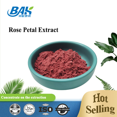 Bulk Antioxidant Natural Food Additives Pure Rose Extract Powder