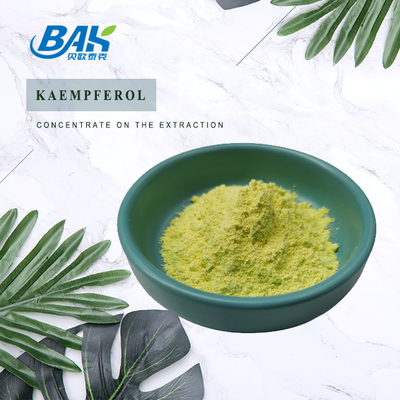 BAK High Quality Cas 520-18-3 Immune Enhancing Supplements Kaempferol Powder 50% 90% 98%