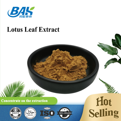 Nuciferine Lotus Leaf Extract Powder Plant Extract Powder BAK Halal Kosher