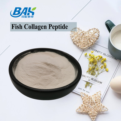 Scale Skin Fish Collagen Peptide  Light Yellow To Brown Powder 100 80 40 Mesh