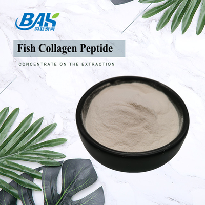 CAS 9064-67-9 Fish Collagen Peptide Powder Cosmetic Raw Materials