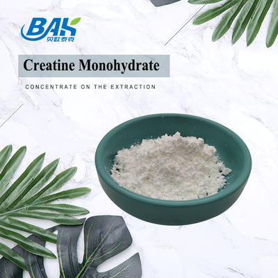 Factory Price 80-200 Mesh Creatine Monohydrate Powder for Food Additives