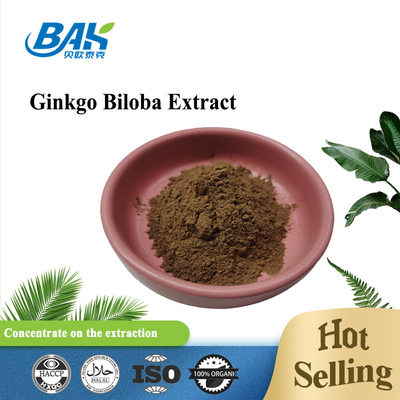 Natural Ginkgo Biloba Extract Flavone Glycosides 24% And Terpene Lactones 6%