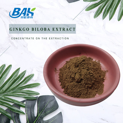 Flavone 24% Lactones 6% Ginkgo Biloba Extract Yellow Brown Powder