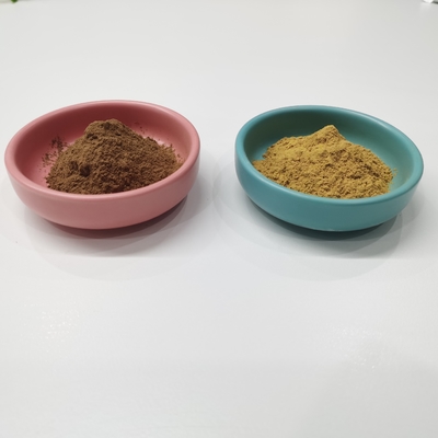 Flavone 24% Lactones 6% Ginkgo Biloba Extract Yellow Brown Powder
