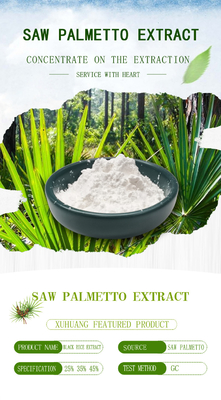 25% - 85% Mens Health Supplement Saw Palmetto Fruit Extract Powder