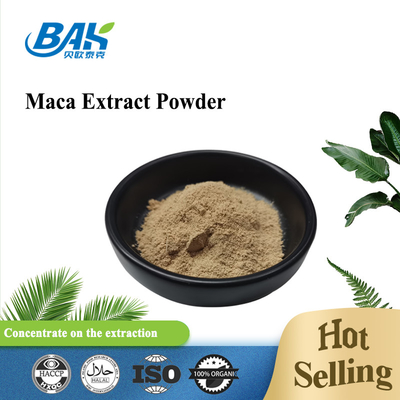 1kg Anti Fatigue Maca Extract Powder 10:1 20:1 Dark Brown Powder