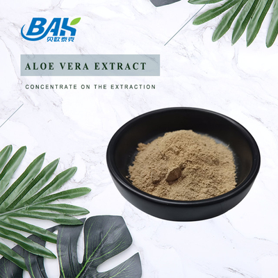 20% 60% Macamide Mens Health Supplement 4：1 Maca Powder Anti Aging
