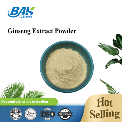 98% Ginsenosides Mens Health Supplement Ginseng Extract Powder 22427-39-0