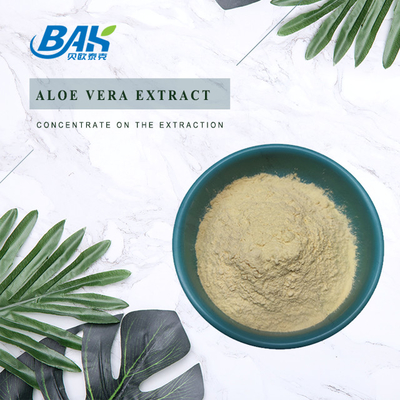 Factory Wholesale 98% Mens Health Supplement Ginsenosides Ginseng Extract Powder