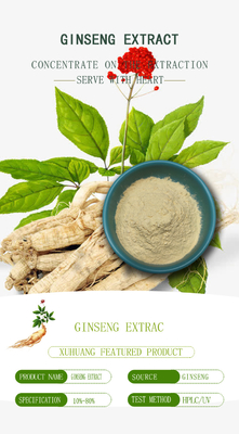 98% Ginsenosides Mens Health Supplement Ginseng Extract Powder 22427-39-0