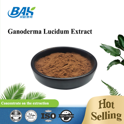 Polysaccharide 30% Mens Health Supplement Ganoderma Lucidum Extract Anti Insomnia