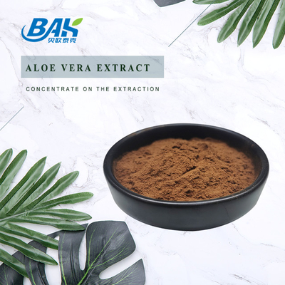 100% Pure Ganoderma Lucidum Reishi Mushroom Extract Supplement Powder