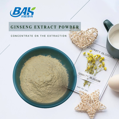 98% Ginsenosides Mens Health Supplement Ginseng Extract Powder 22427-39-0
