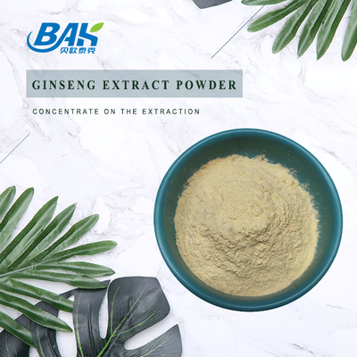 98% Ginsenosides Mens Health Supplement Ginseng Extract Powder 22427-39-0