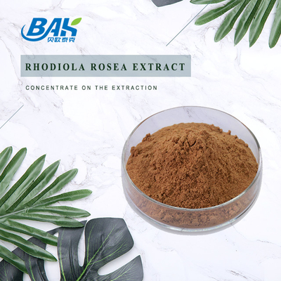 Rosavin 1%-10% Rhodiola Rosea L Red Brown Powder Supplement