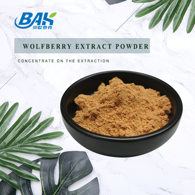 30%-40% Polysaccharide Mens Health Supplement Wolfberry Extract