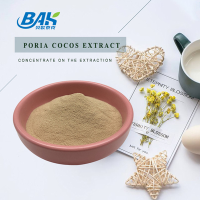 BAK Bulk Wholesale Poria Mushroom Extract Supplement Brown Fine Powder