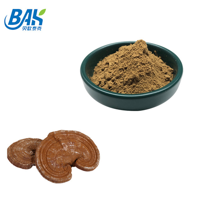 200 Mesh Fine Powder Broken Ganoderma Lucidum Spore Powder
