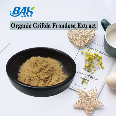 Organic Grifola Frondosa Extract Beta Glucan 70% Mushroom Extract Supplement UV VIS Powder